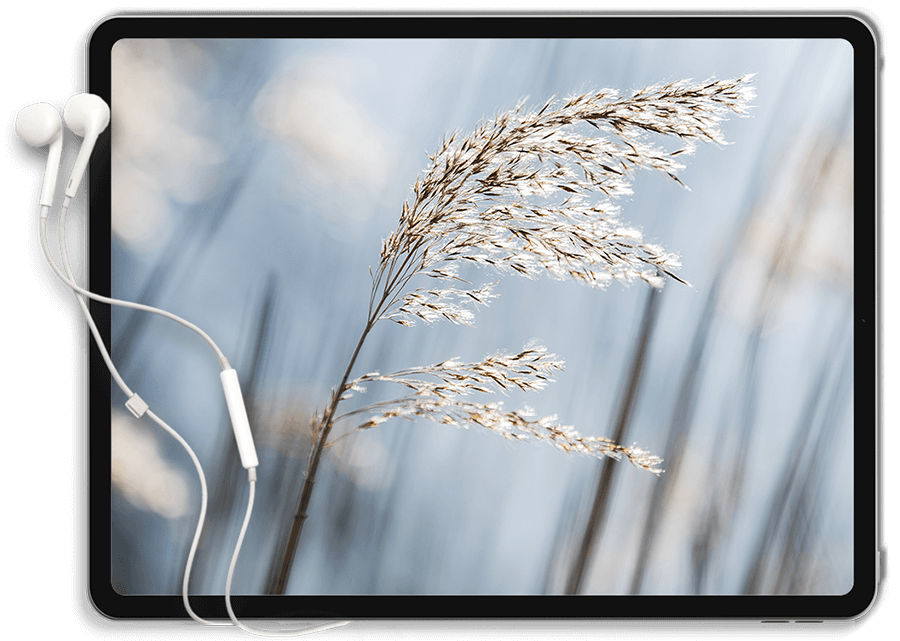 wp-content/uploads/sites/4/2022/01/Tablet.png
